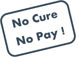 no-cure-no-pay